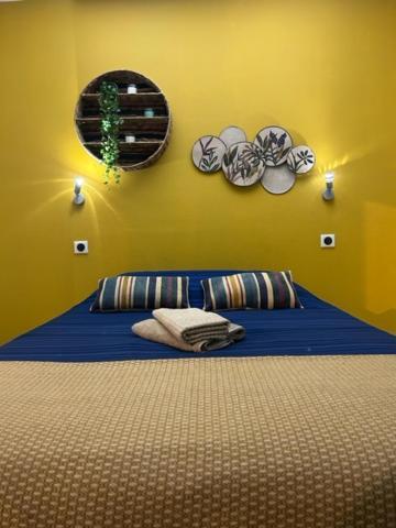 Chambre Privee - Appartement Lumineux Et Calme Albi Luaran gambar